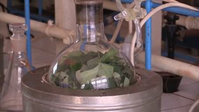Traitement des déchets de plantes aromatiques